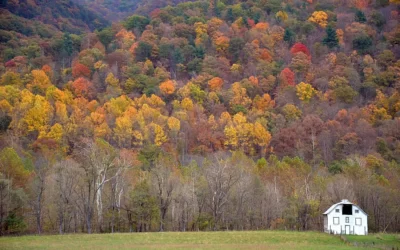 Fall Festivals Made Easy: Group Travel to Autumn’s Best Events