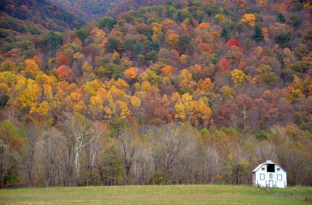 Fall Festivals Made Easy: Group Travel to Autumn’s Best Events